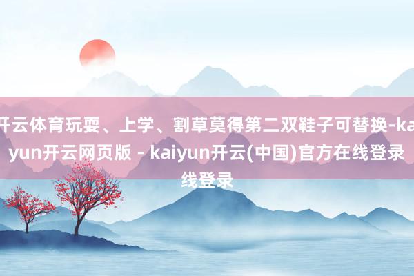 开云体育玩耍、上学、割草莫得第二双鞋子可替换-kaiyun开云网页版 - kaiyun开云(中国)官方在线登录